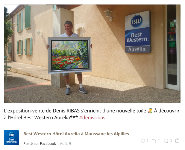 exposition denis ribas mausanne les alpilles