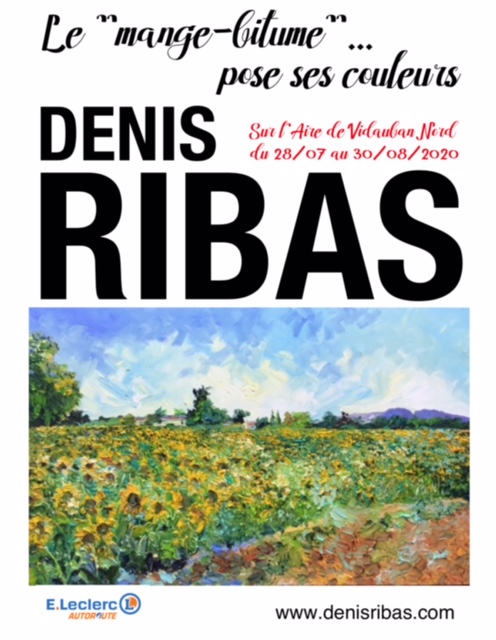 exposition denis ribas